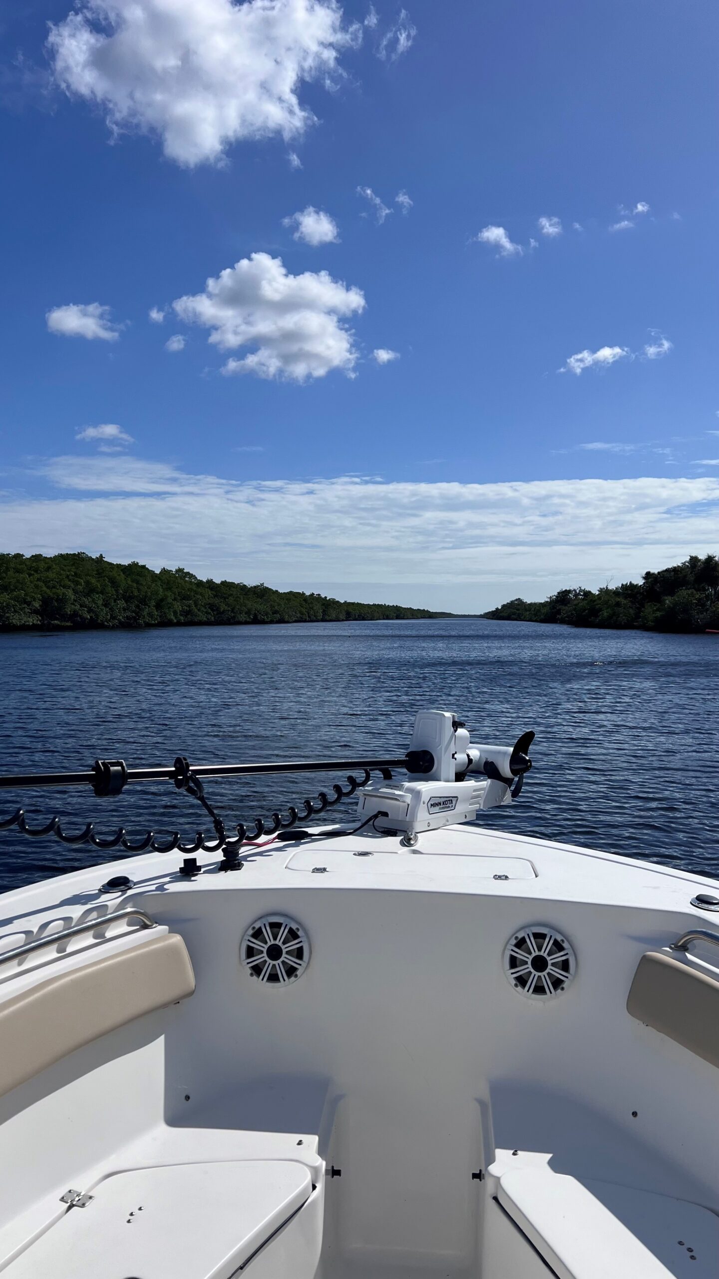 The Ultimate Guide to Fishing Charters in Naples, FL: Expert Tips for 2026