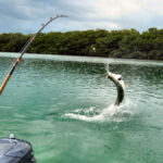 Spring Fishing Spots – Marco Island