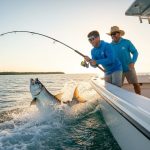 Naples Fishing Charters: The Ultimate Guide to Southwest Florida Angling (2026)
