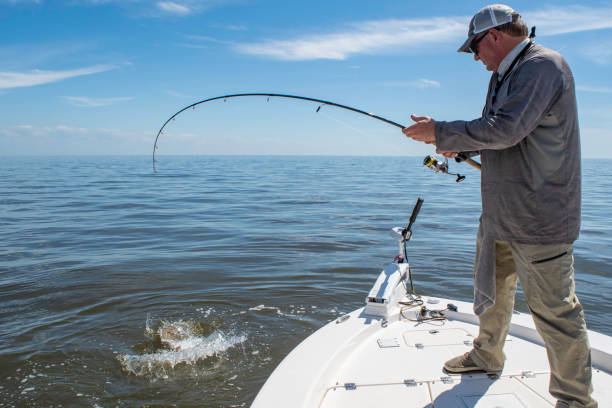fishing, fisherman, south carolina, louisiana, gulf coast states, alabama - us state, texas, outdoors, fishing rod, splashing, nautical vessel, leisure activity, recreational pursuit, georgia - us state, sport, florida - us state, people, sea, water, adult, one person, nature, fishing industry, only men, photography, retirement, active seniors, men, blue, sky, senior adult, lake, fishing reel, summer, relaxation, motion, casting, rod, hobbies, fishing tackle, recreational boat, standing, success, boat deck, fighting, pulling, winning