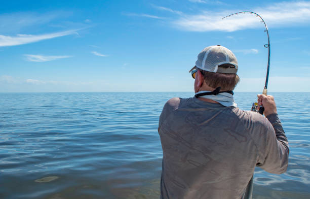A fisherman sets the hook on a large fish in the Gulf of Mexico
