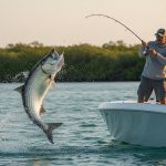 Are Tarpon Good to Eat? The Truth About Naples’ Silver King (2026)