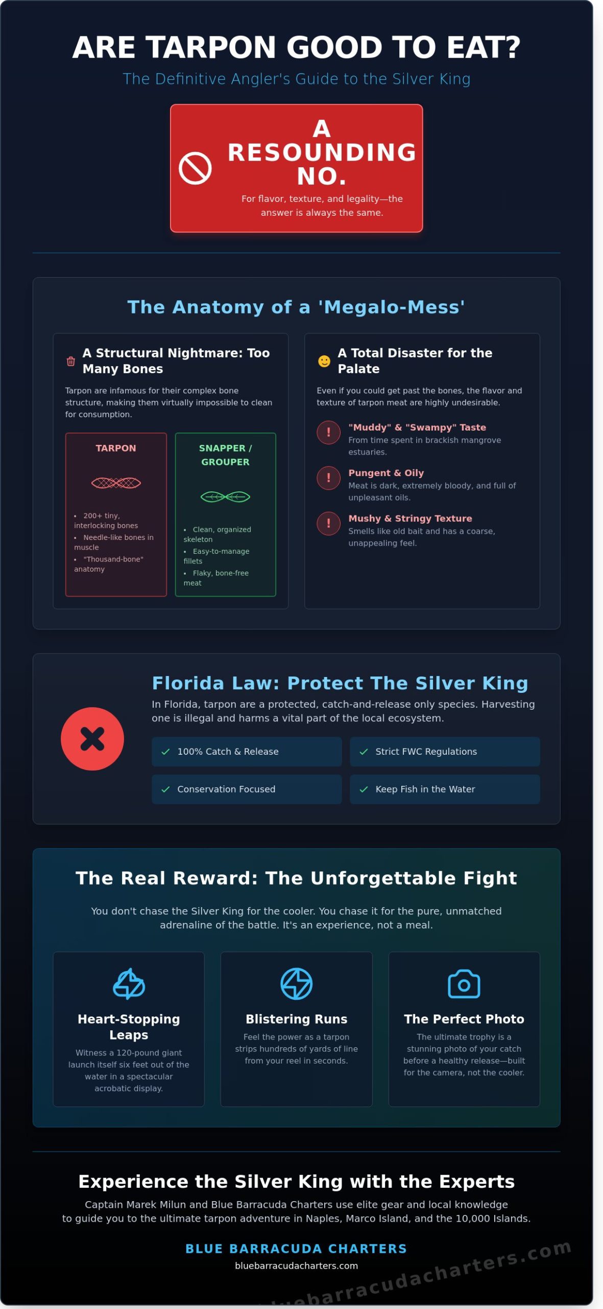 Are Tarpon Good to Eat? The Truth About Naples’ Silver King (2026)