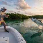 Best Time of Year to Fish in Naples, FL: 2026 Seasonal Guide