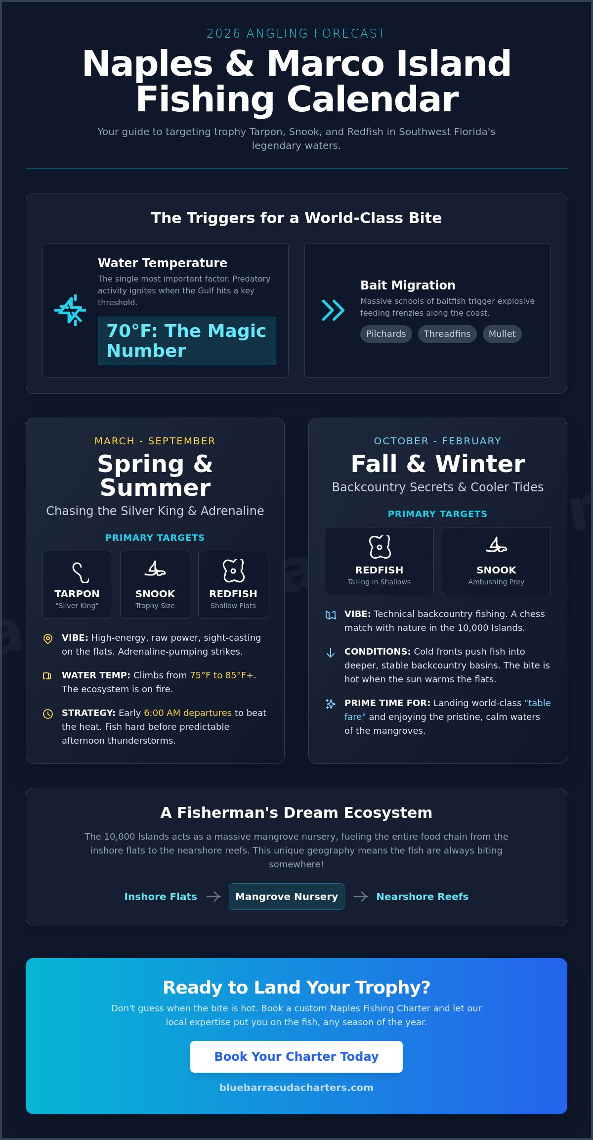 Best Time of Year to Fish in Naples, FL: 2026 Seasonal Guide