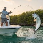 Book a Fishing Trip in Naples, FL: The Ultimate 2026 Angler’s Guide