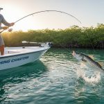 Fishing Charter Prices in Naples, FL: 2026 Cost Guide & Value Analysis