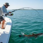 Full Day Offshore Fishing Naples Florida: The Ultimate 8-Hour Gulf Mission
