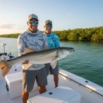 Naples Boat Tours for Dolphins: A Private Wildlife Adventure with Blue Barracuda Charters