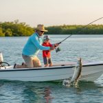 Naples Eco Tours: Manatees, Wildlife, and Private Boat Tours in 2026