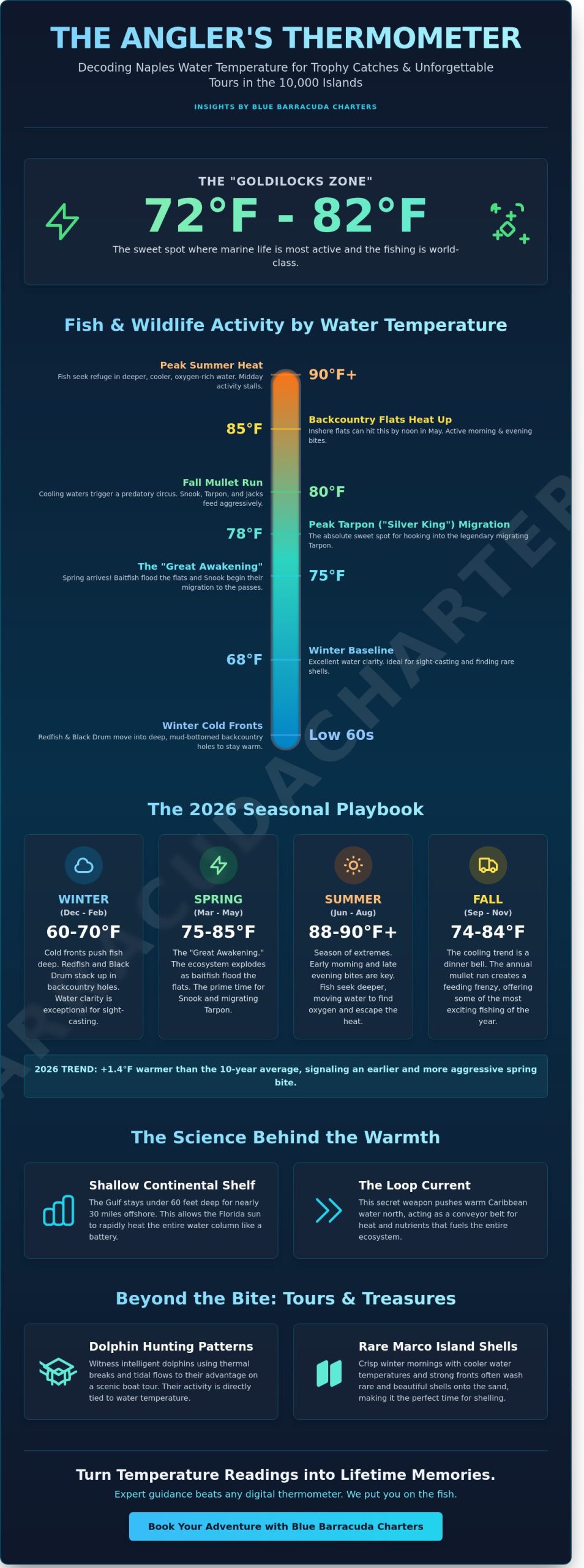 Naples Water Temperature Guide 2026: How the Gulf’s Heat Drives the Action