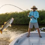 Snook Fishing Guide Naples Florida: Master the Ambush with Blue Barracuda Charters