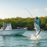 Tarpon Coast Fishing Charters Florida: Catch the Silver King in Naples (2026)