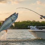 Tarpon Fishing Charters Naples FL: Conquer the Silver King in 2026