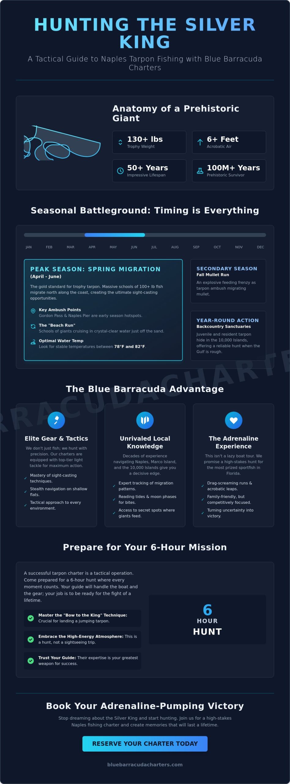 Tarpon Fishing Charters Naples FL: Conquer the Silver King in 2026