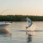 The Ultimate Guide to Fishing Charters in Naples, FL: Expert Tips for 2026