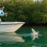 Naples Backcountry Fishing Charters: A Tactical Guide to the 10,000 Islands