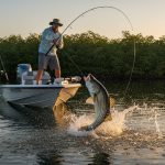 Naples Fishing Report 2026: What’s Biting in the 10,000 Islands?