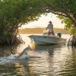 Redfish Charters Naples FL: The Ultimate Pursuit with Blue Barracuda Charters