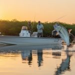 What Fish Are Biting in Naples, Florida Now? Your 2026 Seasonal Guide