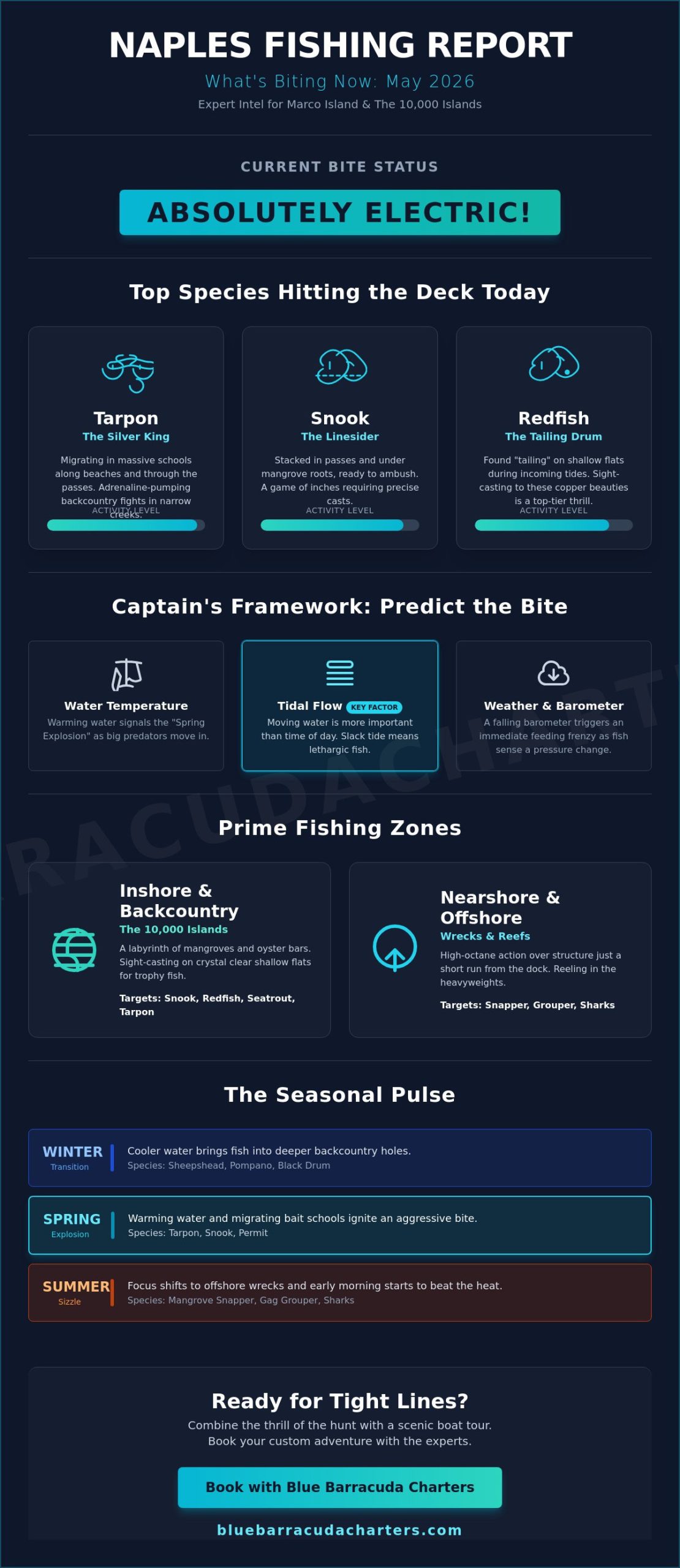 What Fish Are Biting in Naples, Florida Now? Your 2026 Seasonal Guide