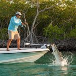 Fishing the 10,000 Islands Guide: Master the Backcountry in 2026