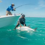 Deep Sea Fishing Naples FL: The Ultimate 2026 Offshore Charter Guide